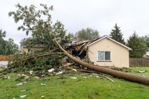 Storm Impacts