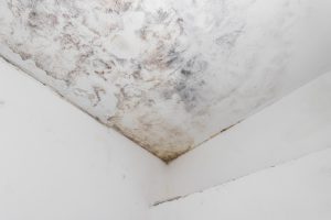 Water Damage