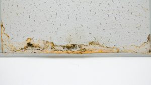 Water Damage