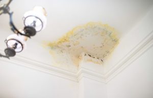 Water Damage